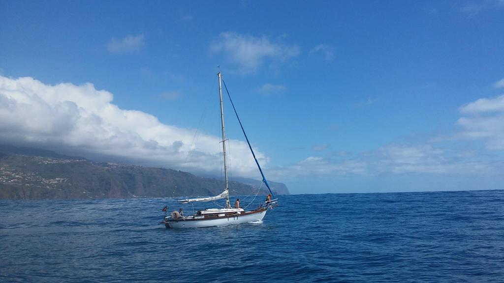 Ocean View Madeira Lägenhet Madalena do Mar Exteriör bild